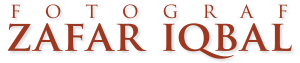 zafariqbal.dk logo