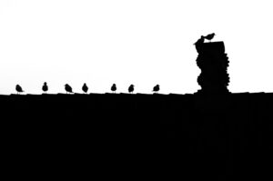 Blog schmlog! 2