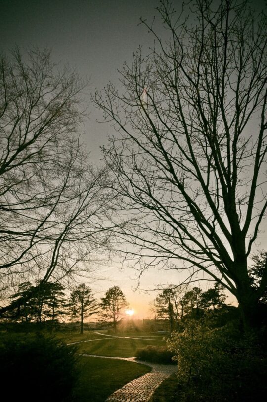 April, 2011: Solnedgang set fra Bispebjerg Kirkegård.
