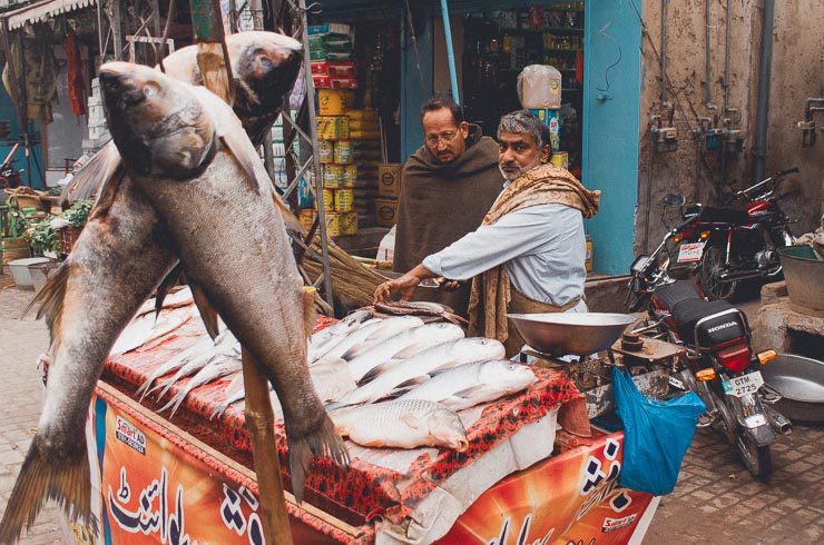 I Pakistan efter 24 år 11